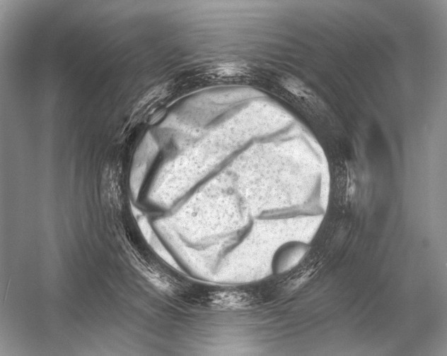 X0000052940654200508050857