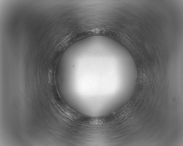 X0000052940656200508050857