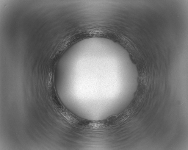 X0000052940660200508050857