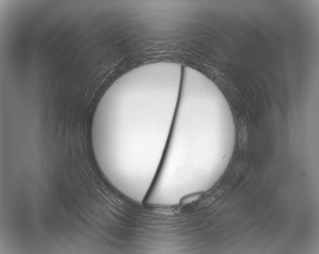 X0000052940661200508050857