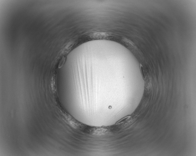 X0000052940669200508050857