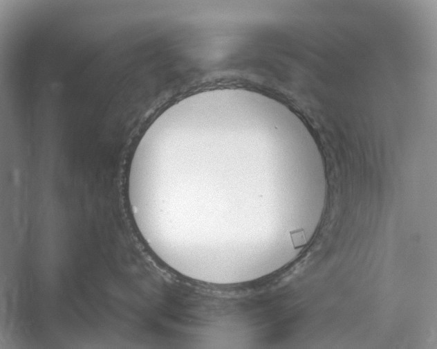 X0000052940672200508050857