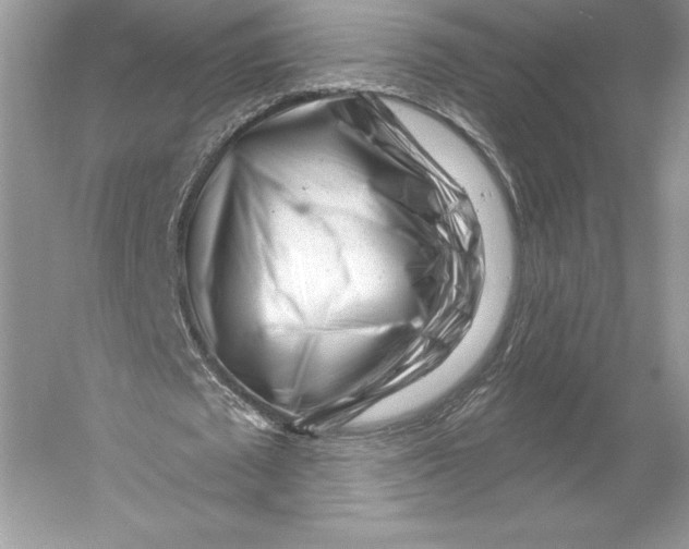 X0000052940673200508050856