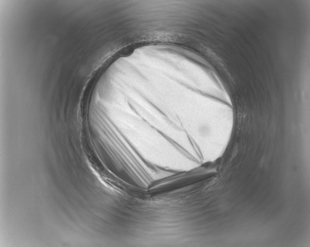 X0000052940674200508050856