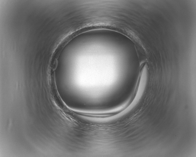 X0000052940676200508050856