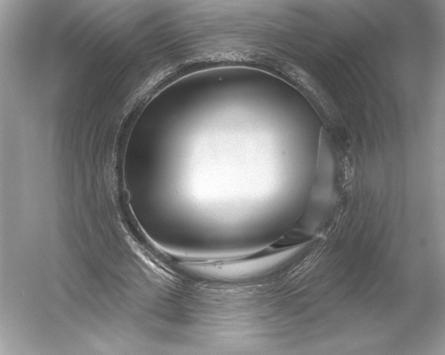 X0000052940677200508050856