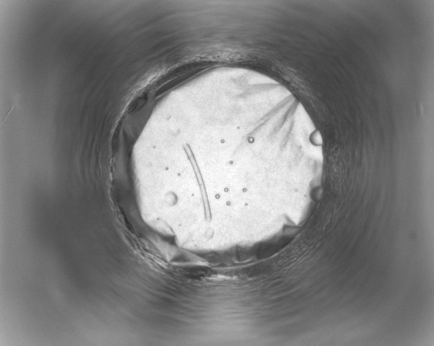 X0000052940679200508050856