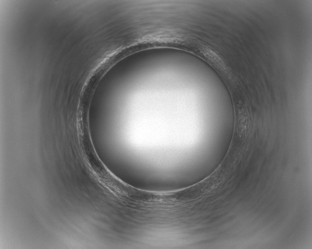 X0000052940680200508050856