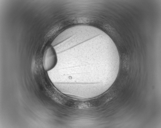 X0000052940683200508050856