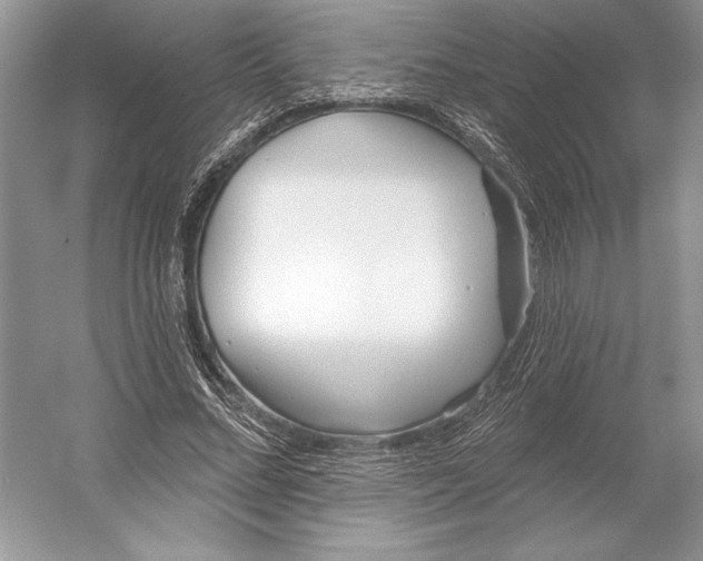 X0000052940684200508050856