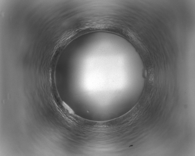 X0000052940685200508050856