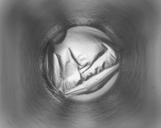 X0000052940687200508050856