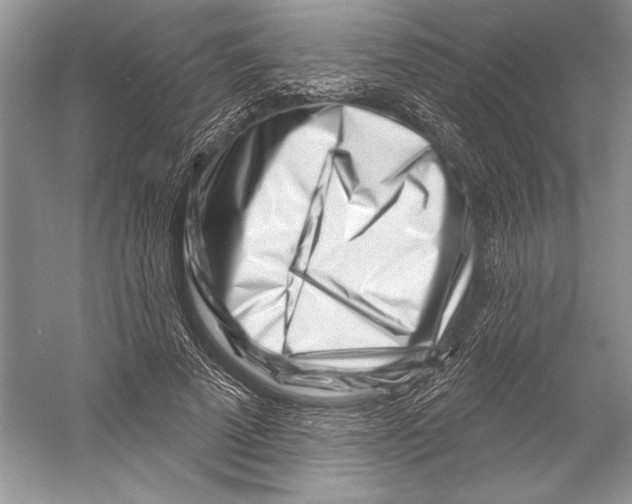 X0000052940689200508050856