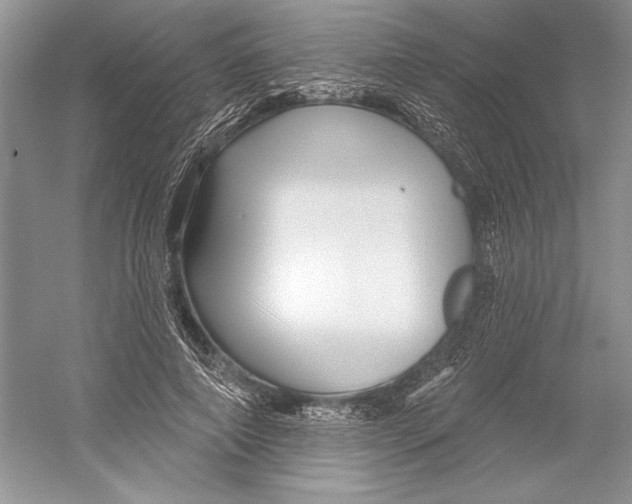 X0000052940690200508050856