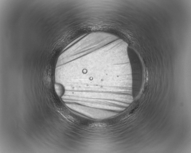 X0000052940691200508050856