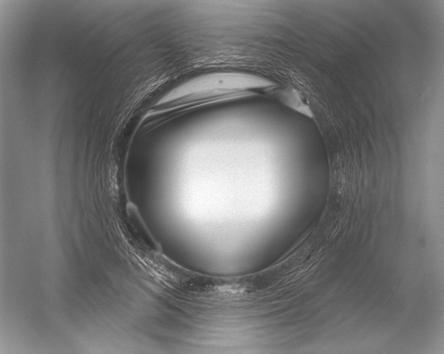 X0000052940692200508050856