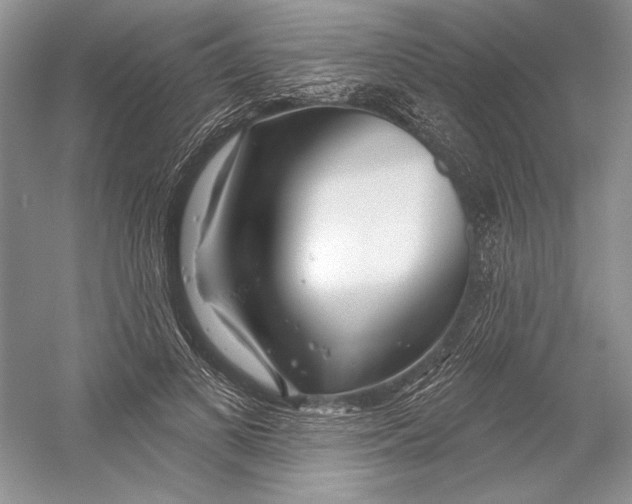 X0000052940693200508050856