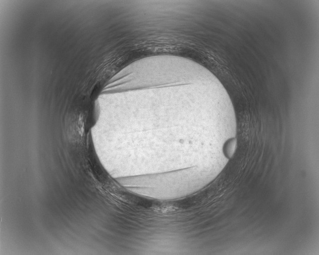 X0000052940695200508050856