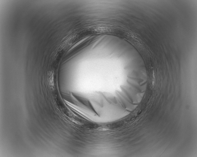 X0000052940696200508050856