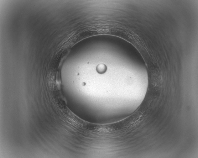 X0000052940697200508050856