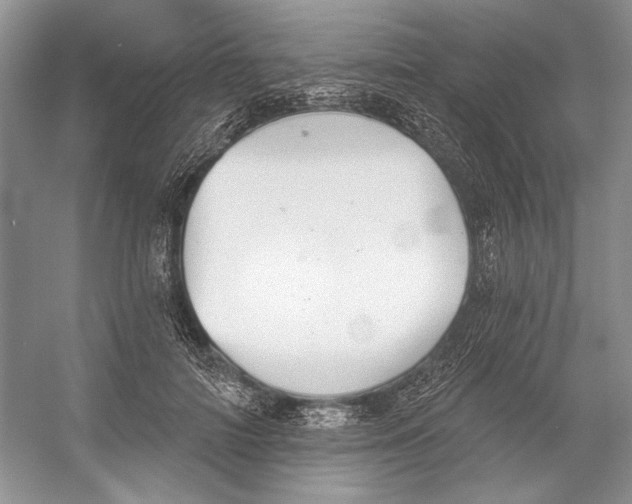 X0000052940698200508050856