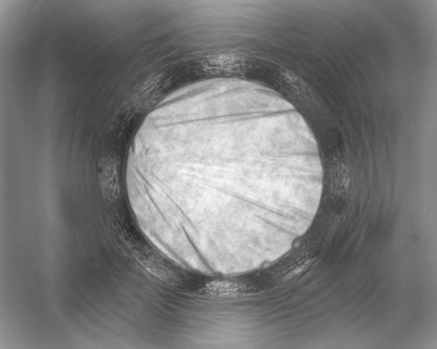 X0000052940699200508050856