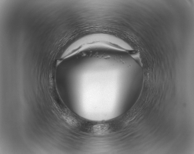 X0000052940700200508050856