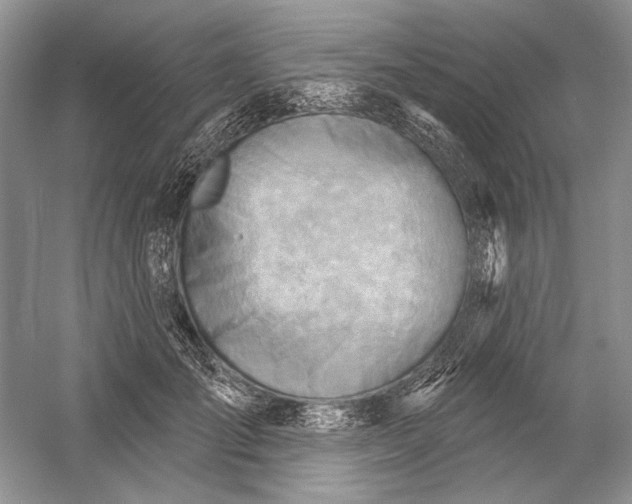 X0000052940701200508050856