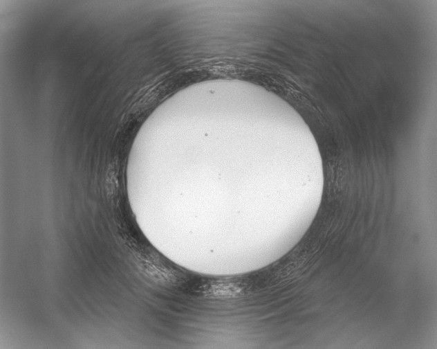 X0000052940702200508050856