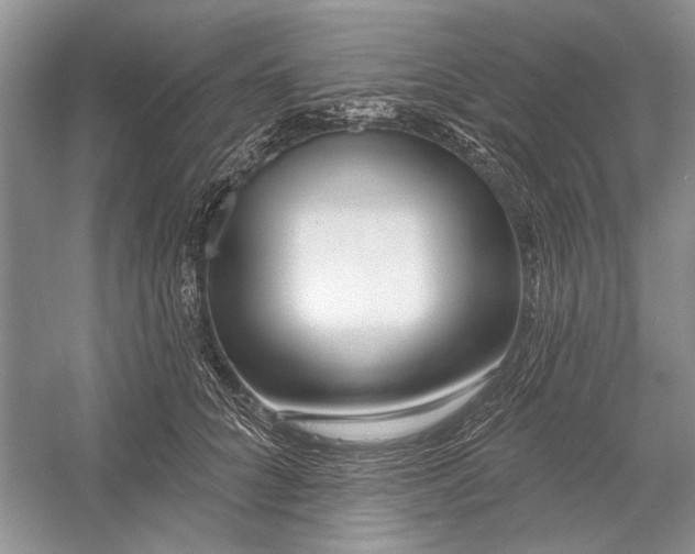 X0000052940704200508050856