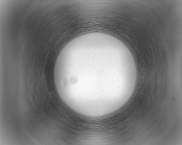 X0000052940705200508050856