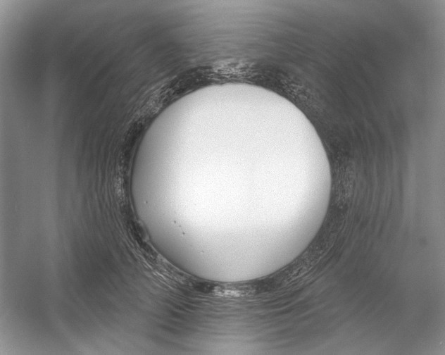 X0000052940706200508050856