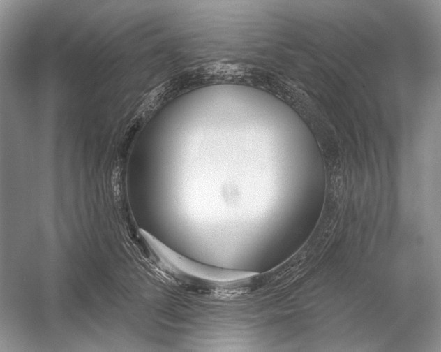 X0000052940708200508050856