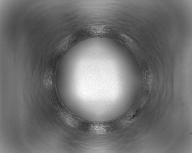 X0000052940710200508050856