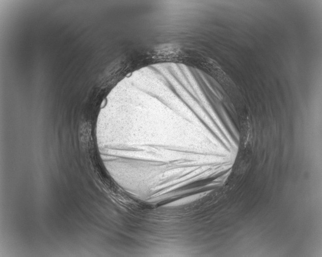 X0000052940711200508050856