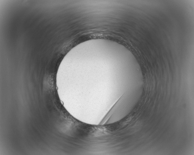 X0000052940715200508050856