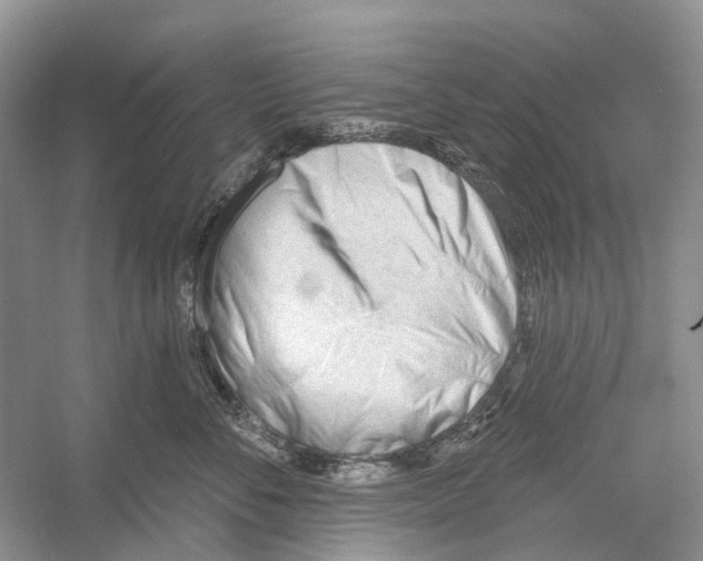 X0000052940716200508050856