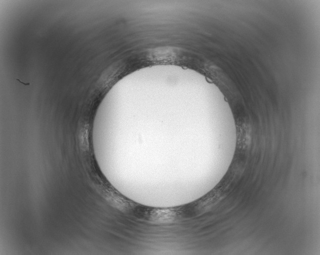 X0000052940717200508050856