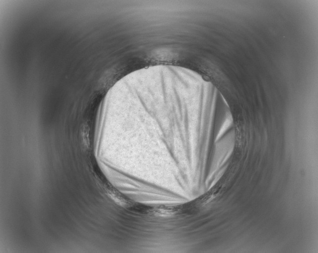 X0000052940718200508050856