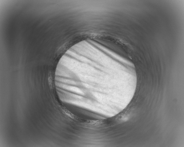 X0000052940720200508050855