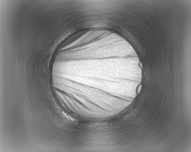 X0000052940721200508050855