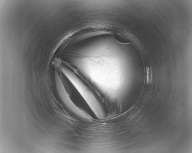 X0000052940723200508050855