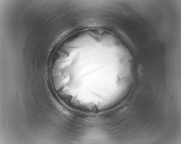 X0000052940725200508050855