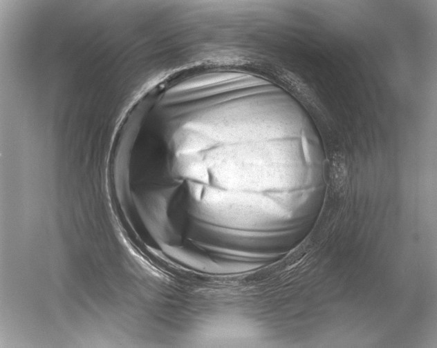 X0000052940726200508050855