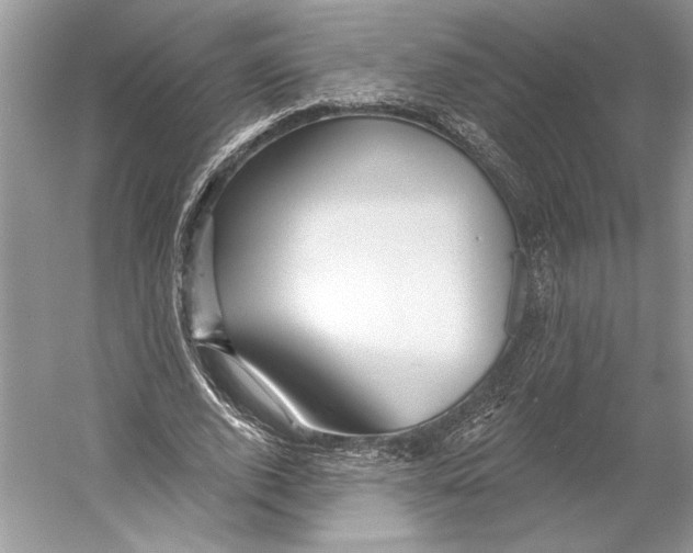 X0000052940728200508050855