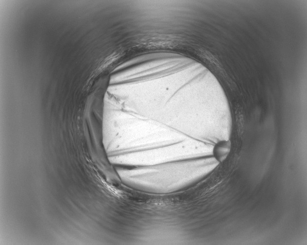 X0000052940729200508050855