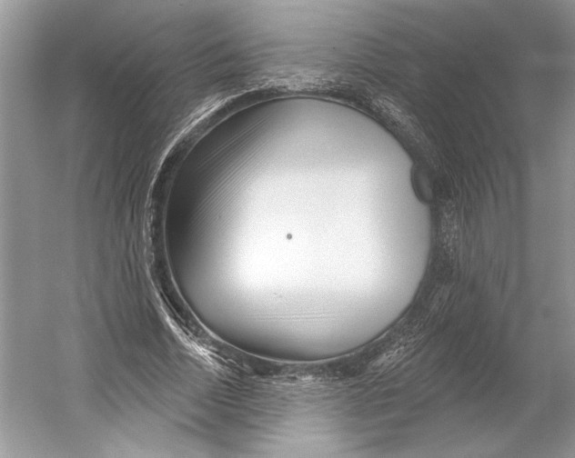 X0000052940730200508050855