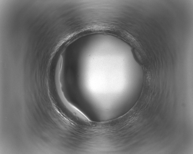 X0000052940732200508050855