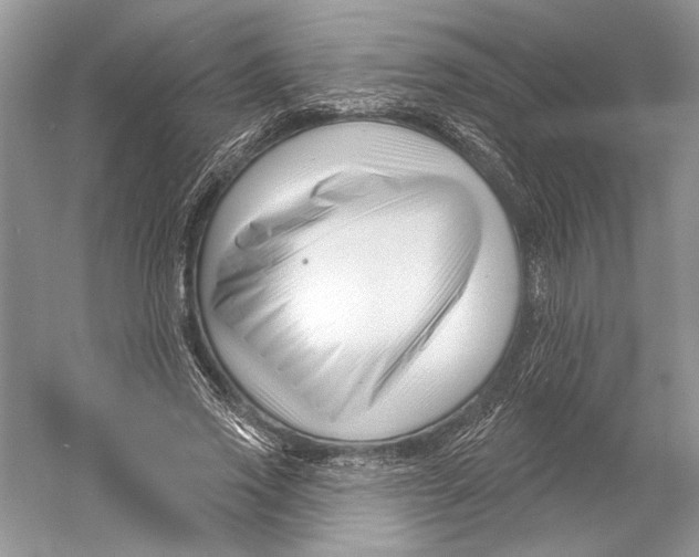 X0000052940733200508050855