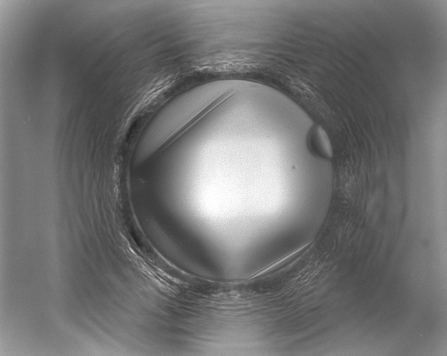 X0000052940735200508050855